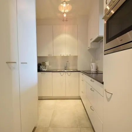 Sleek W Dual Terraces Apartamento De Haan